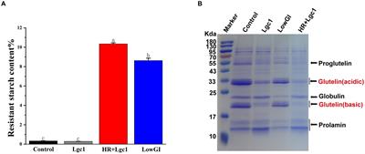 High-resistant starch and low-glutelin content 1 rice benefits gut function in obese patients